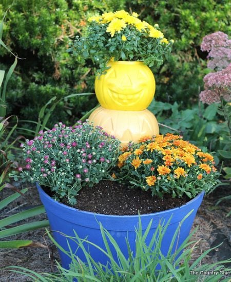 Make this pumpkin planter for your fall garden! A quick and easy project that is perfect for fall!