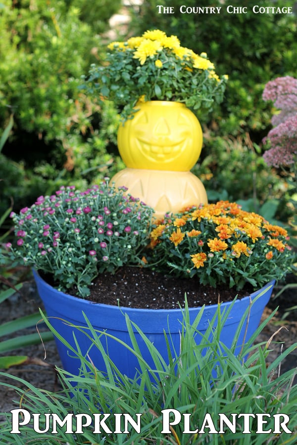 Make this pumpkin planter for your fall garden!  A quick and easy project that is perfect for fall!