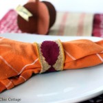 Thanksgiving napkin ring ideas -- five ideas for Thanksgiving or your fall dinner party.