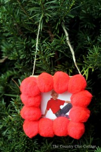 photo frame ornament