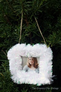 picture frame ornament