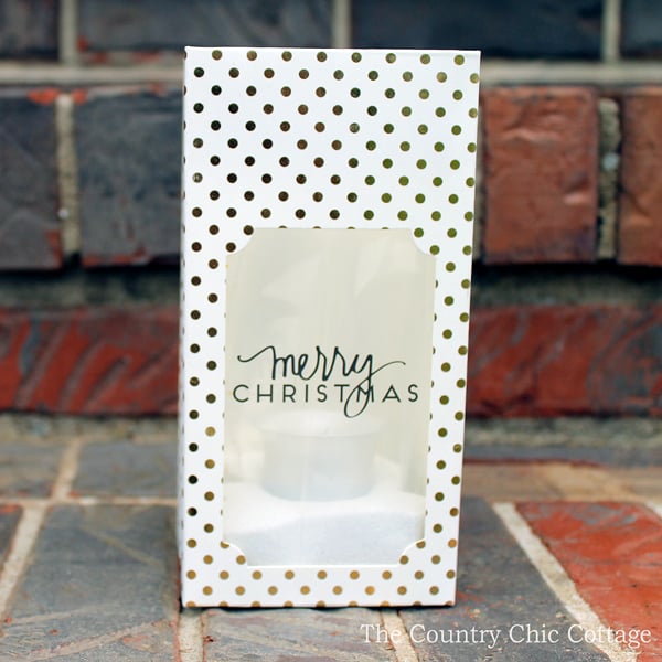 Single Christmas Luminary bag on brick steps