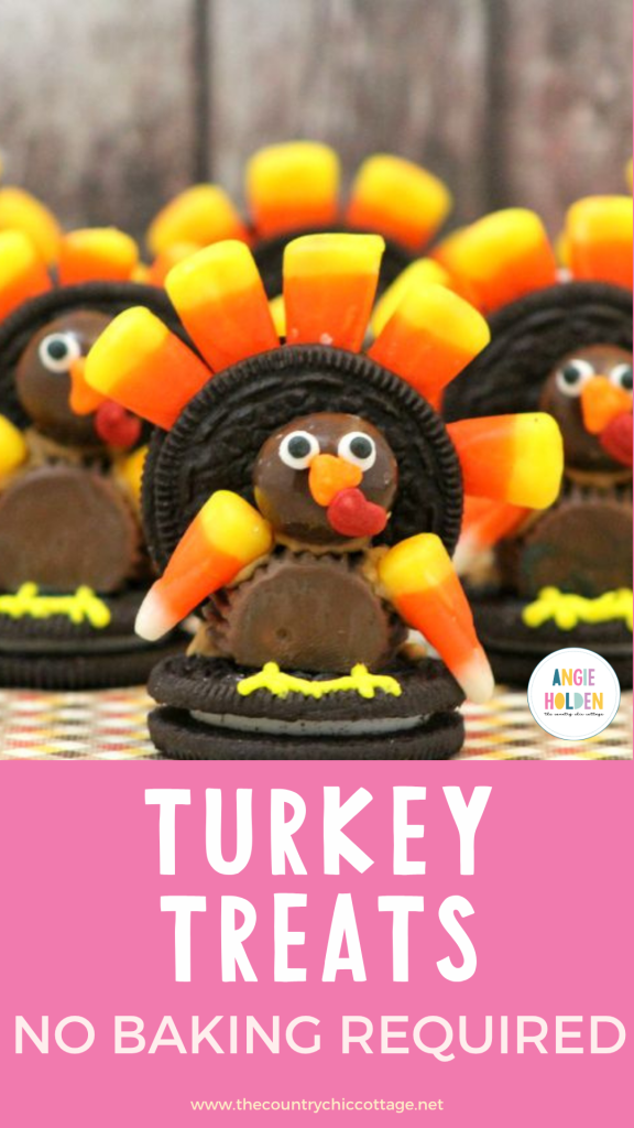 turkey treats