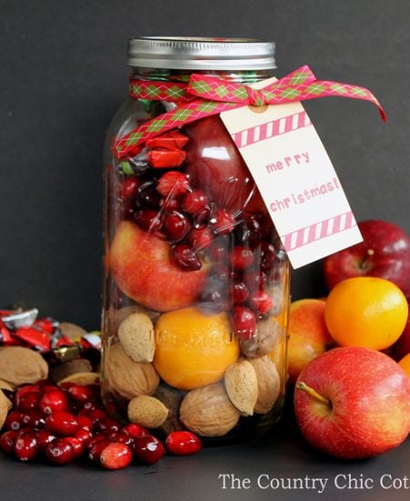 Make this fruit basket in a jar for those on your gift giving list this holiday season! This is a great traditional Christmas gift with a modern spin. It is in a very large jar from Ball that works perfectly for this gift in a jar idea!