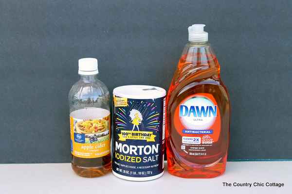 bottles of apple cider vinegar, salt, and dish soap to get rid of ants naturally