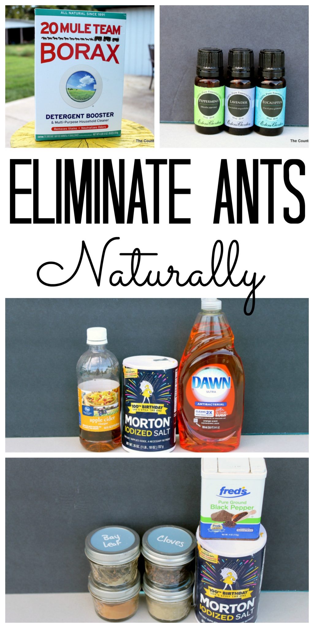 Eliminate Ants Naturally - The Country Chic Cottage