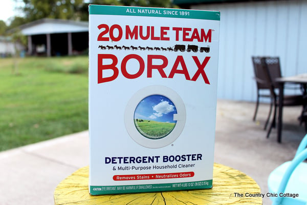 Box of Borax to get rid of ants in your house