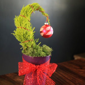 DIY Mini Grinch Tree by Garden Therapy