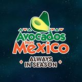 avo logo