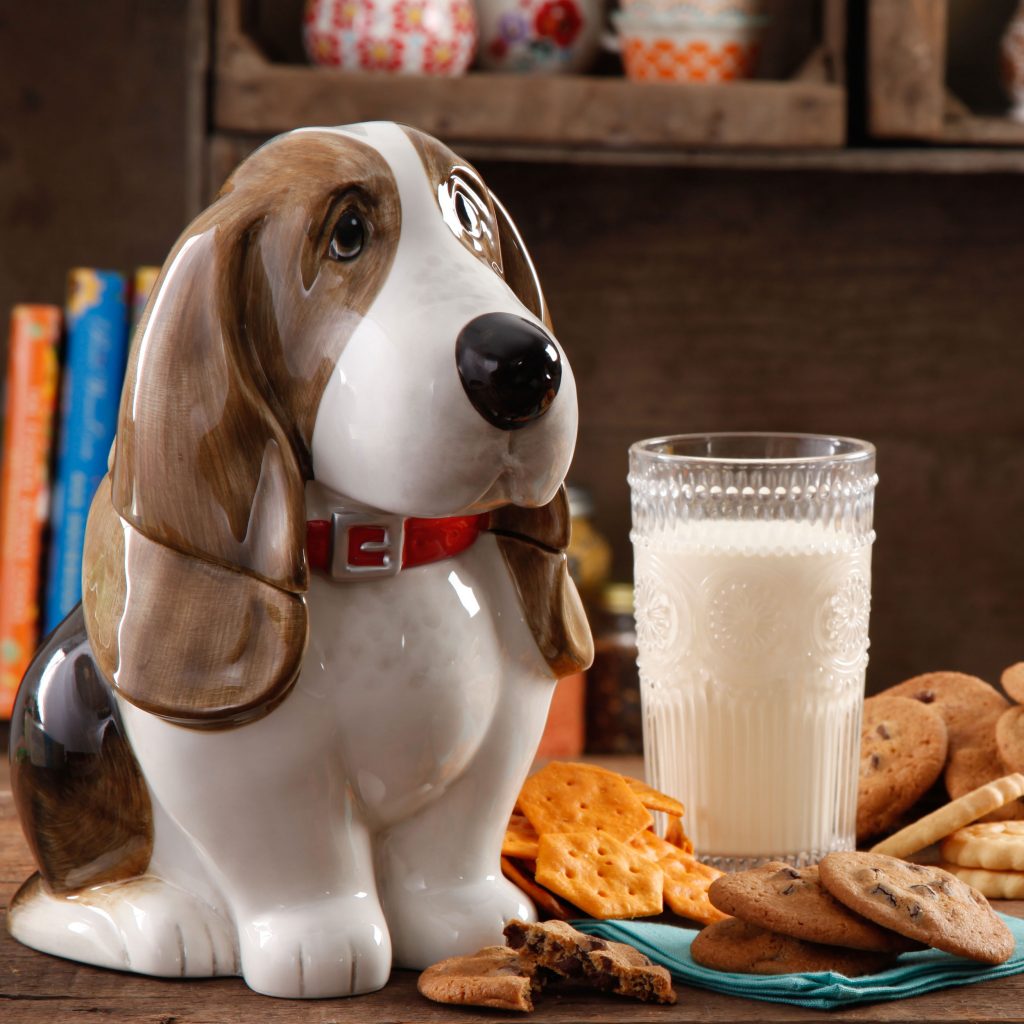 pioneer woman charlie cookie jar