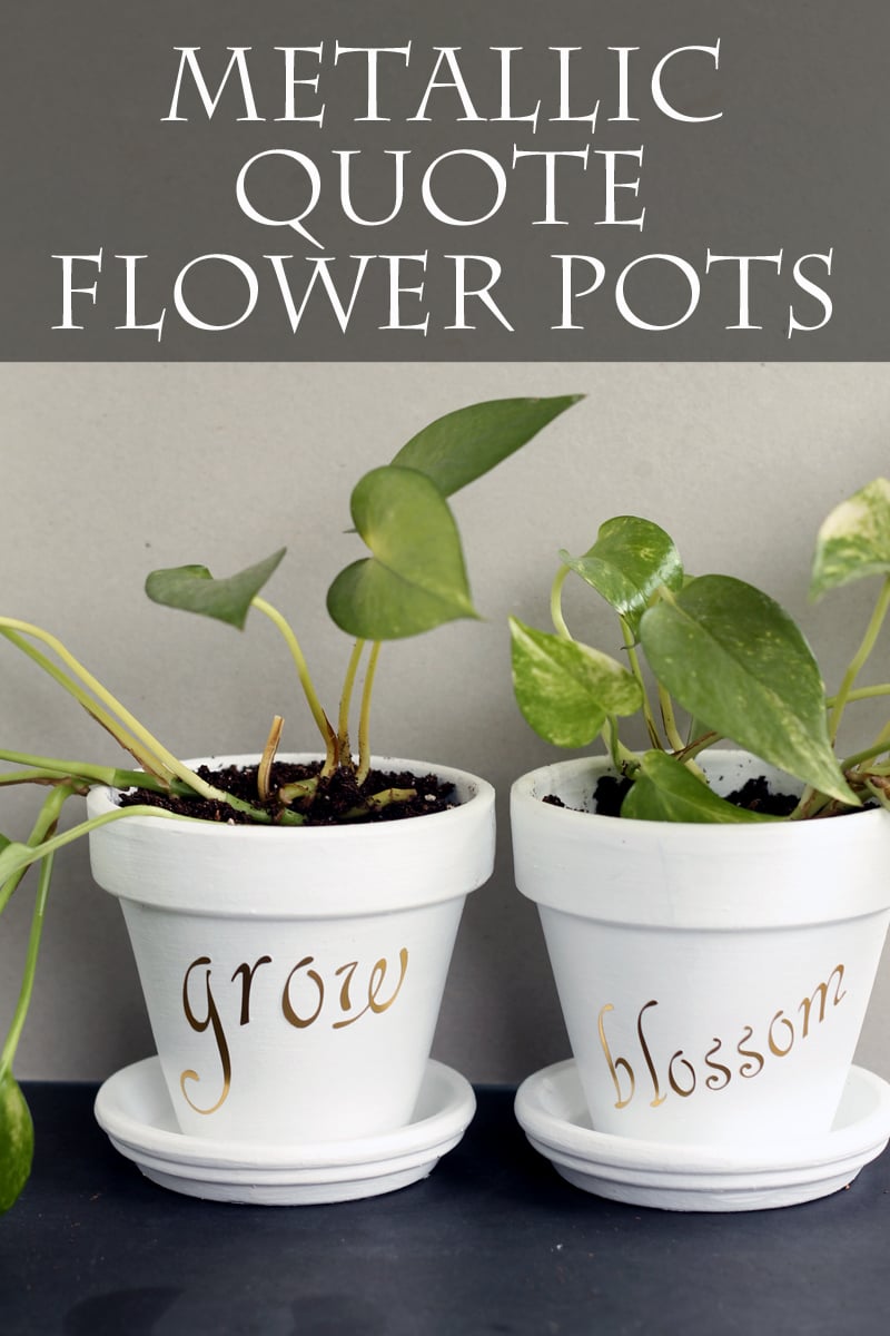 Tutorial on adding words to a flower pot. Loving this metallic version!