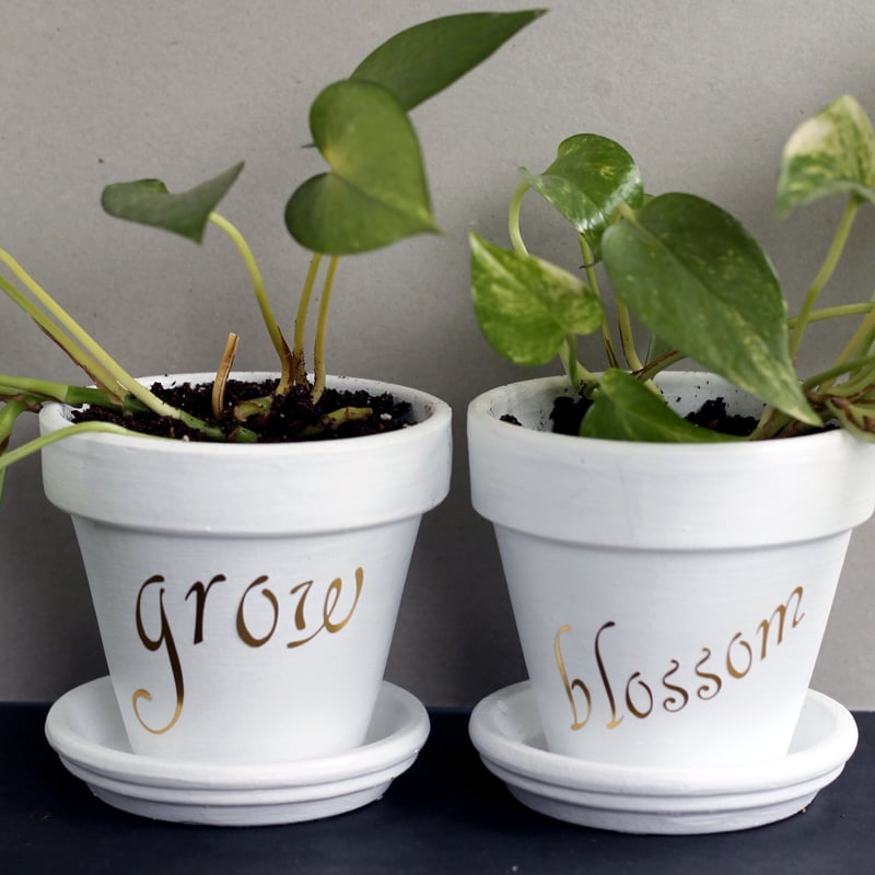 Tutorial on adding words to a flower pot. Loving this metallic version!