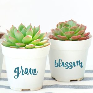 how to customize a planter pot