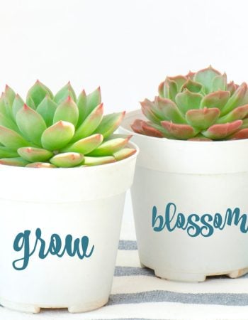 how to customize a planter pot