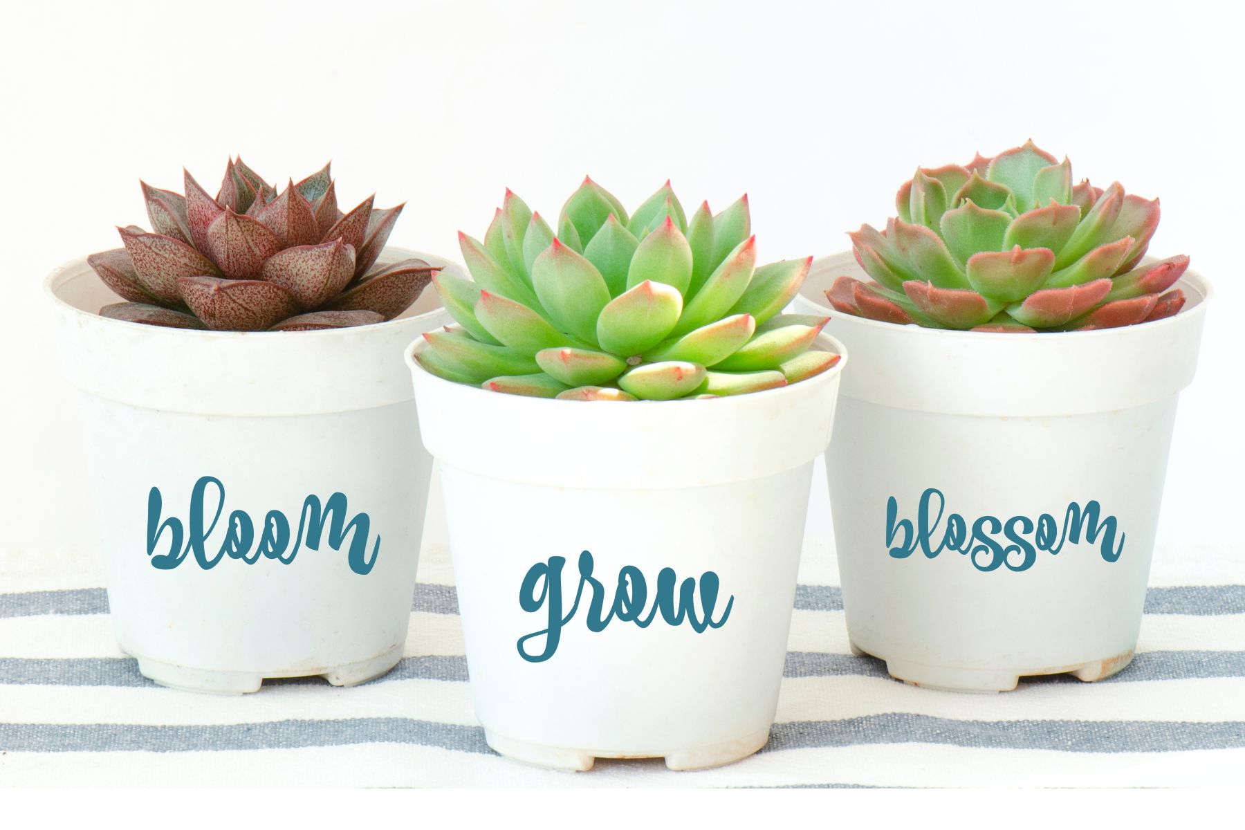 how to add vinyl words to a flower pot