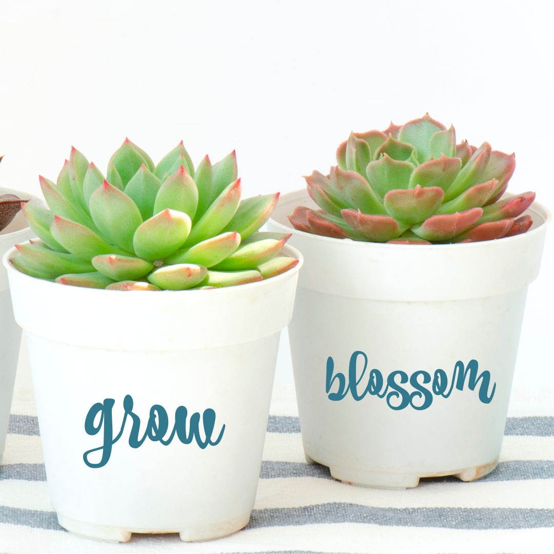 how to customize a planter pot