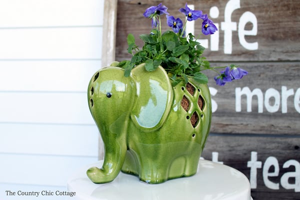 elephant lantern used as a planter