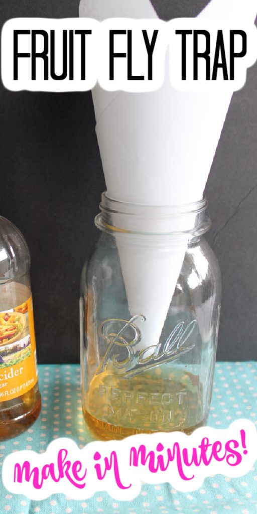 Make this fruit fly trap in minutes with a mason jar and a few simple ingredients that you probably have around your home. Don't let those pests bother you! #fruitflies #masonjar #trap #bugs #flies