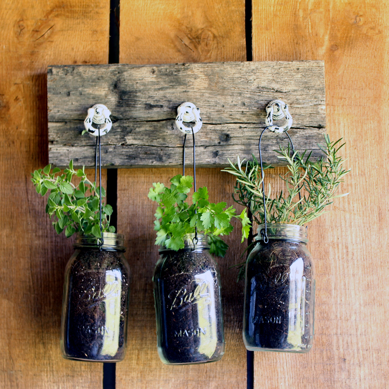 Add this mason jar herb garden to your outdoor decor this summer! You can also bring it indoors all year!