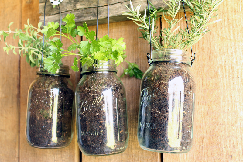 Add this mason jar herb garden to your outdoor decor this summer! You can also bring it indoors all year!