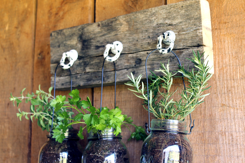 Add this mason jar herb garden to your outdoor decor this summer! You can also bring it indoors all year!