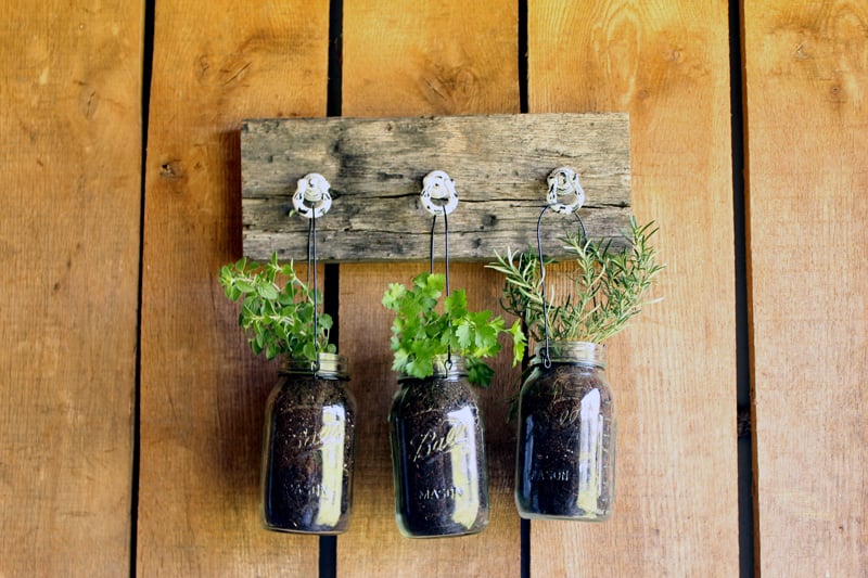 Add this mason jar herb garden to your outdoor decor this summer! You can also bring it indoors all year!