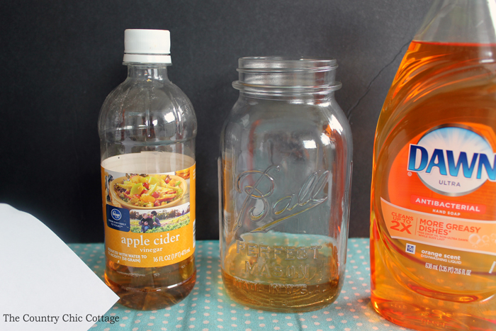 Make this mason jar fruit fly trap for your home this summer! Keep those fruit flies at bay with this project that only takes seconds to make yourself!