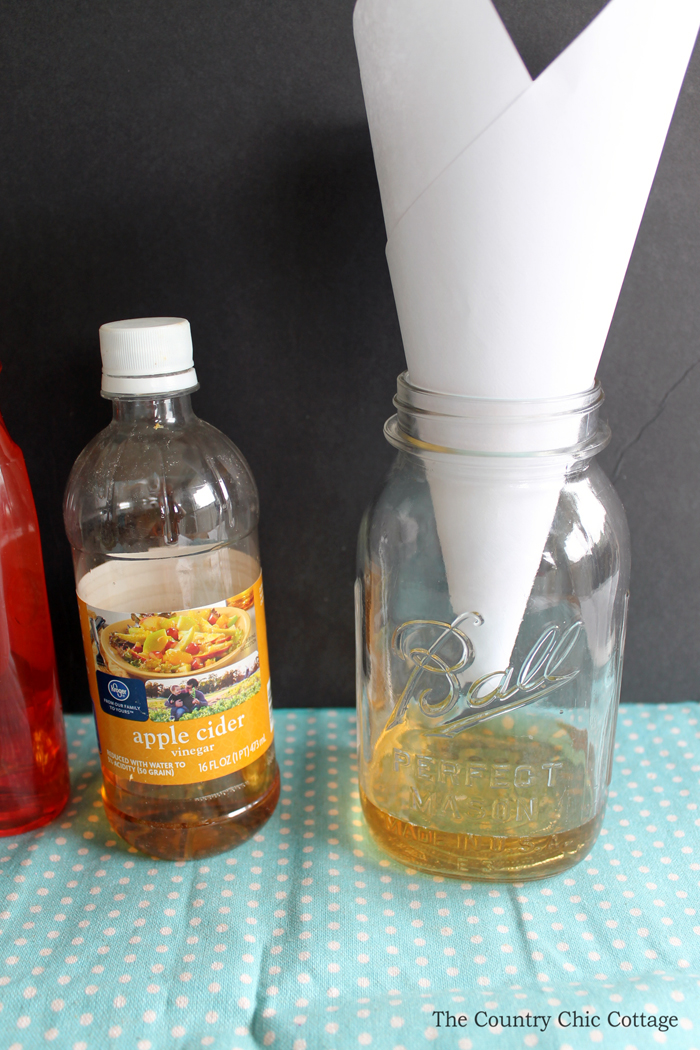 Make this mason jar fruit fly trap for your home this summer! Keep those fruit flies at bay with this project that only takes seconds to make yourself!