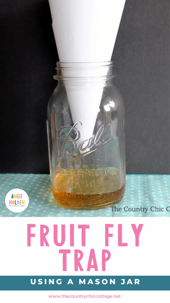 mason jar fruit fly trap