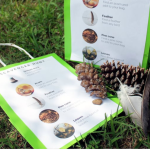 Pinterest Hidden Image