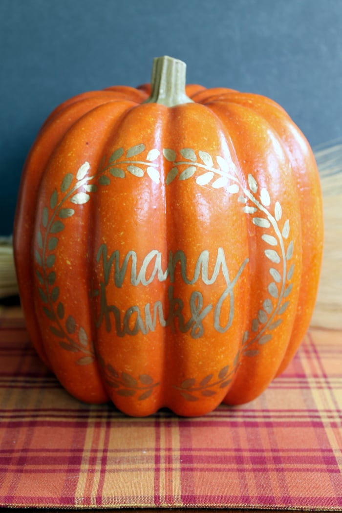 "many thanks" written on pumpkin