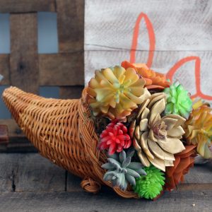 Make a succulent cornocopia for your decor this fall!