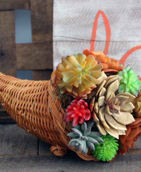 Make a succulent cornocopia for your decor this fall!