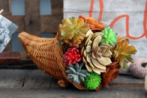 Succulent Cornucopia for Thanksgiving - Angie Holden The Country Chic ...