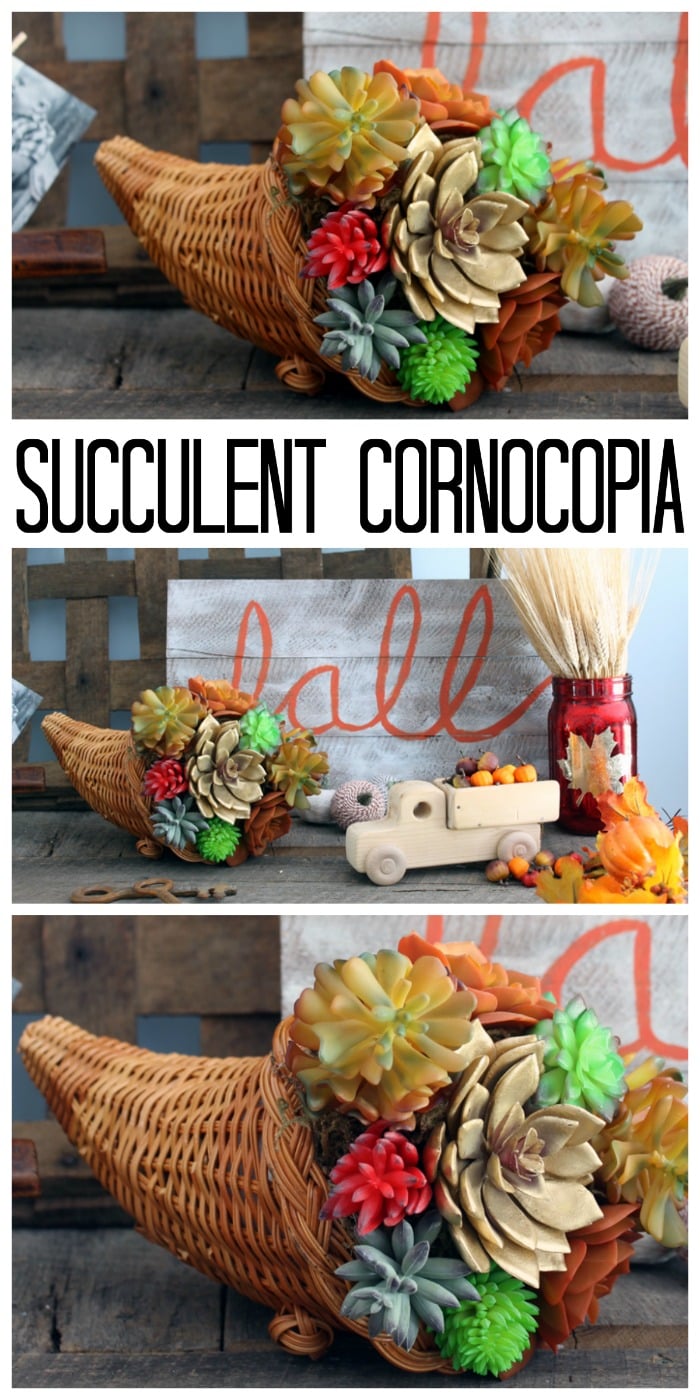 Succulent Cornucopia by The Country Chic Cottage