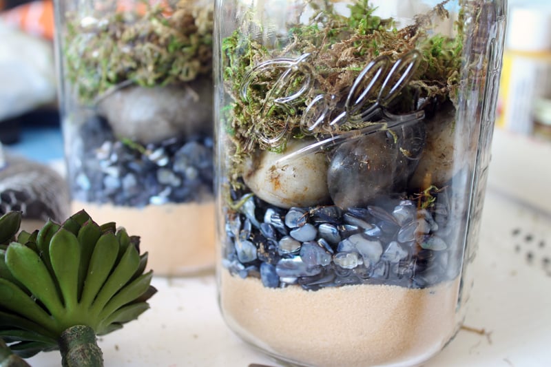 Terrarium in a mason jar - a fun gift idea that is easy to make! Perfect for succulents!