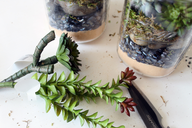 Terrarium in a mason jar - a fun gift idea that is easy to make! Perfect for succulents!