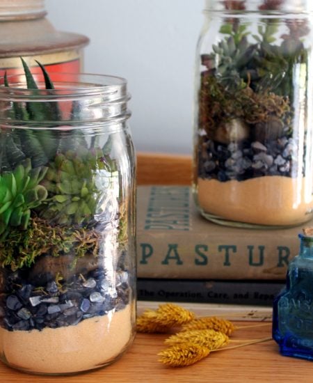 Terrarium in a mason jar - a fun gift idea that is easy to make! Perfect for succulents!