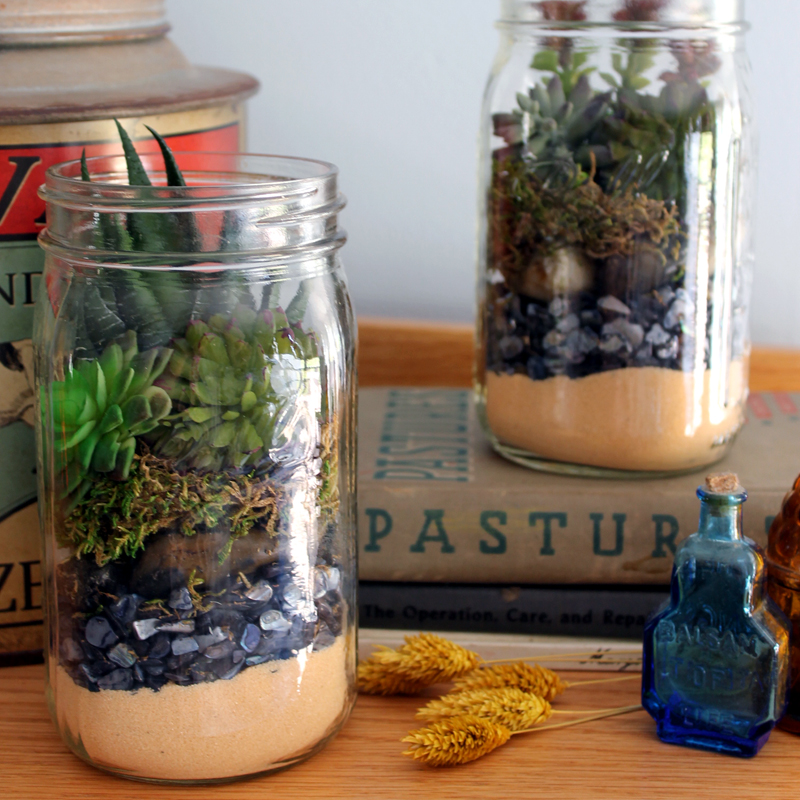 Terrarium in a Mason Jar Gift Idea