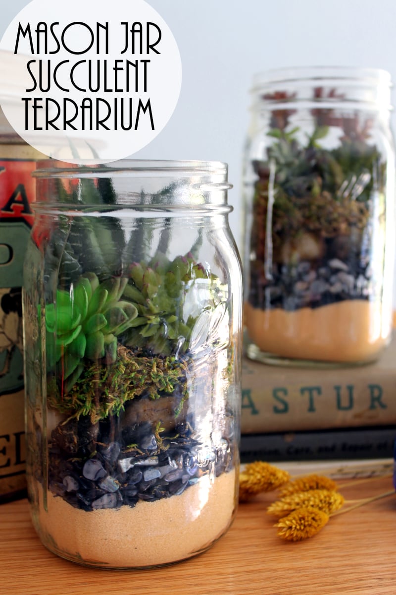 Terrarium in a mason jar - a fun gift idea that is easy to make! Perfect for succulents!