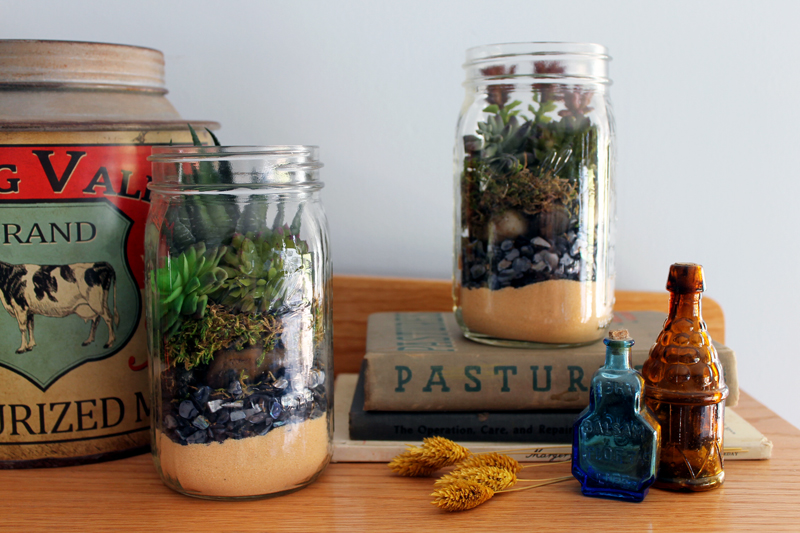 Terrarium in a mason jar - a fun gift idea that is easy to make! Perfect for succulents!