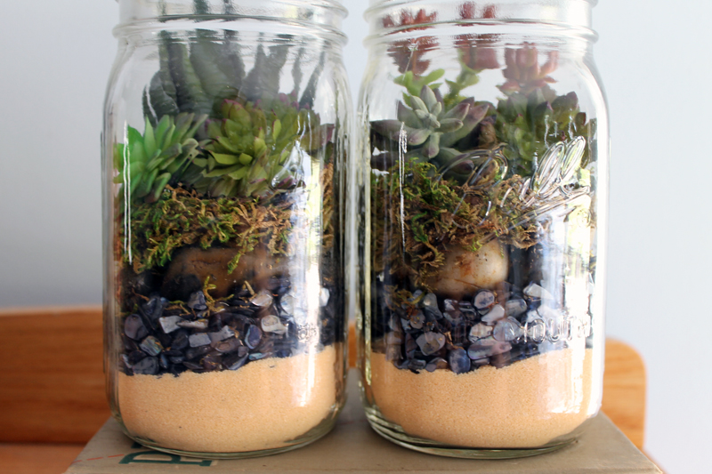 Terrarium in a mason jar - a fun gift idea that is easy to make! Perfect for succulents!