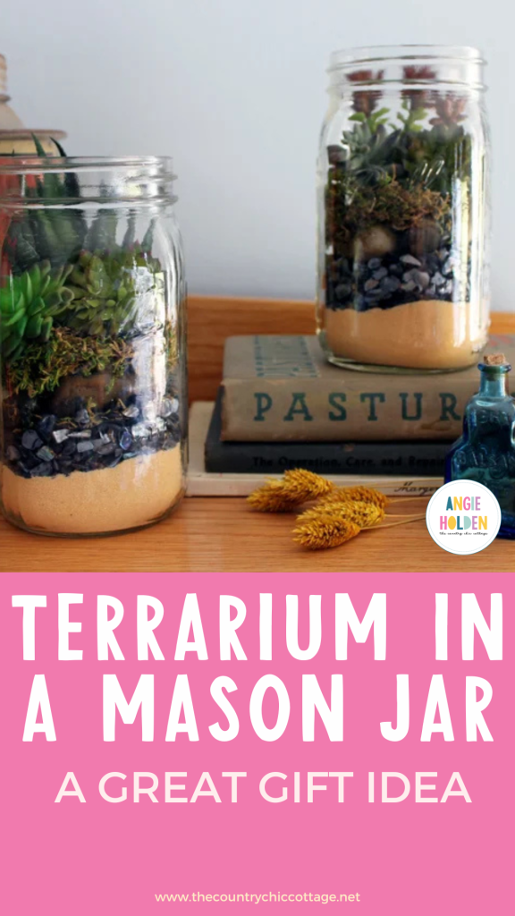 terrarium in a mason jar
