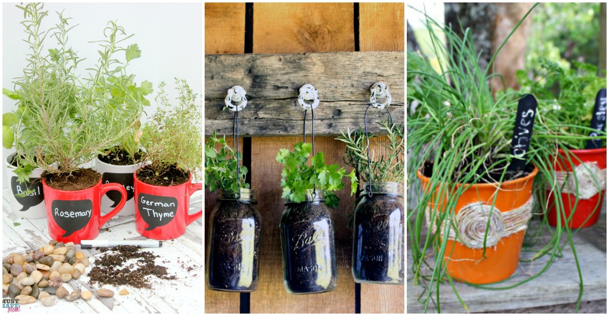 Planting Herbs: Ideas for Growing Herbs in Your Spring Garden