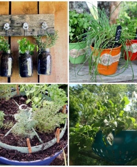 Planting Herbs: Ideas for Growing Herbs in Your Spring Garden