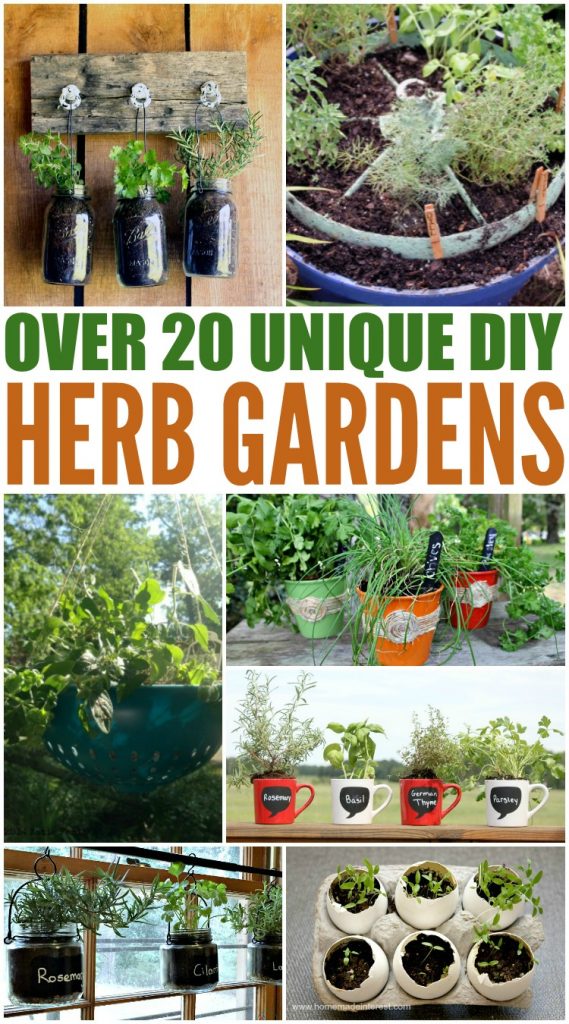 Planting Herbs Designs for Your Spring Garden Angie Holden The