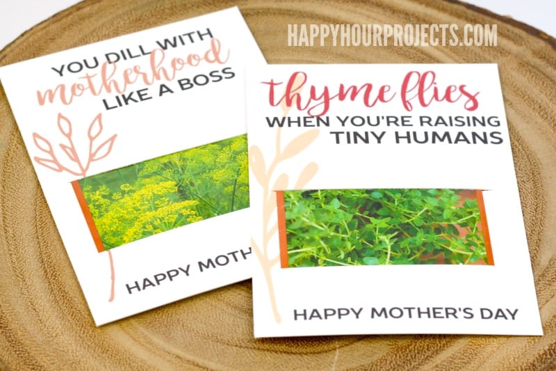 Quick and easy Mother's Day Ideas