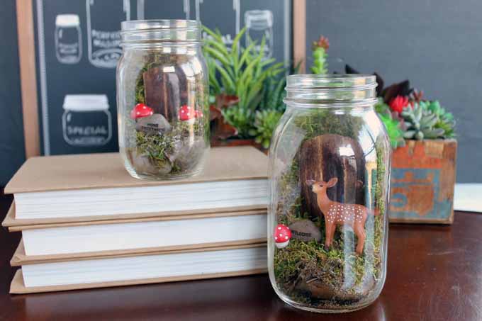 fairy garden terrarium in a mason jar