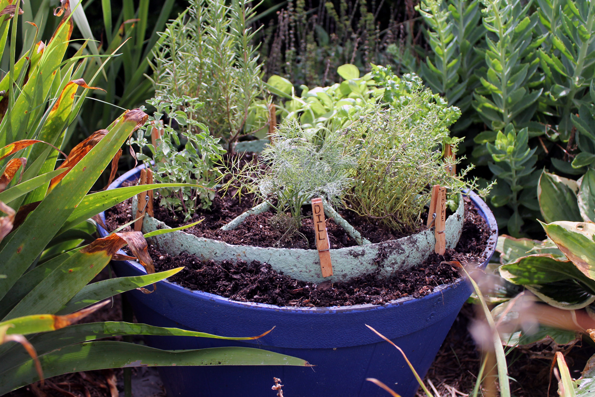 Herb garden design - make a rustic herb garden with an old wheel! Plus instructions on making clothespin herb markers!