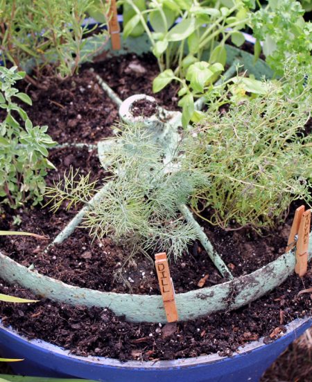 Herb garden design - make a rustic herb garden with an old wheel! Plus instructions on making clothespin herb markers!